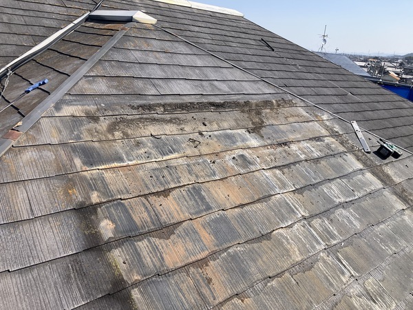 7DC721DA-A3D5-42CA-8C18-A0C83315A9C1_コピー