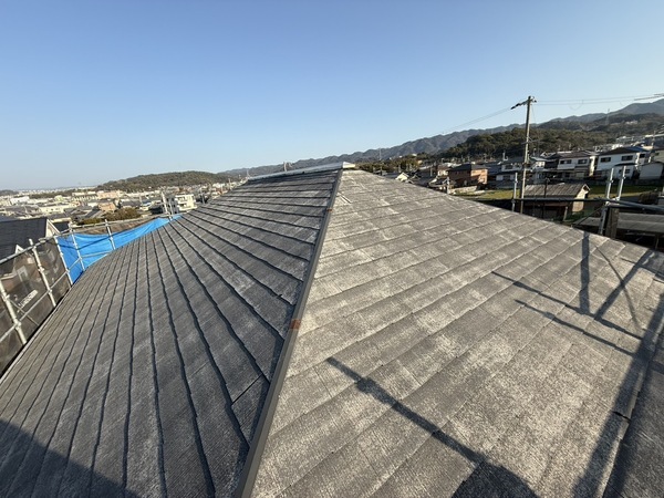 S__63299601_0_コピー