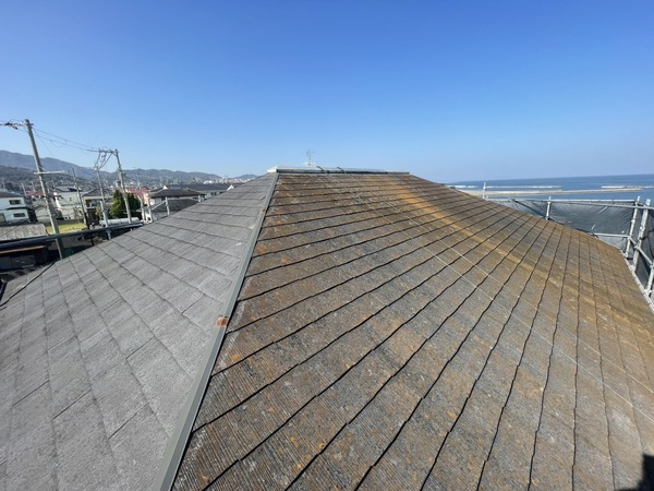 S__29835269_0_コピー