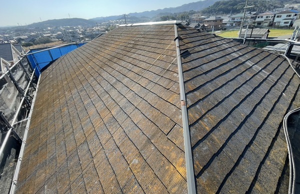 S__29835267_0_コピー