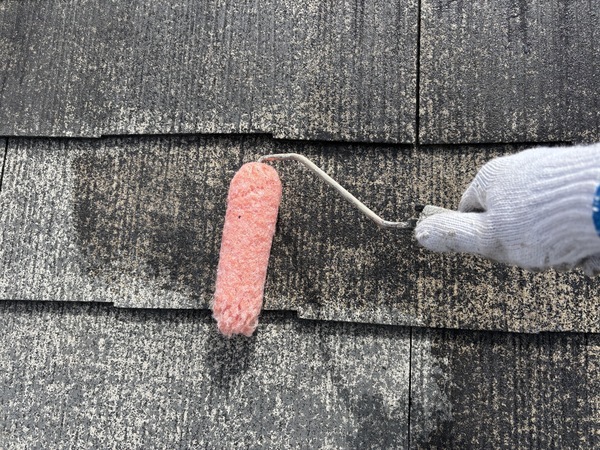 S__114868255_0_コピー