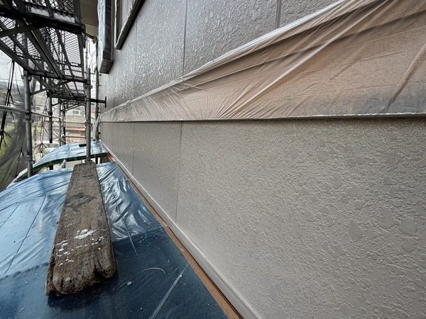 S__114868248_0_コピー