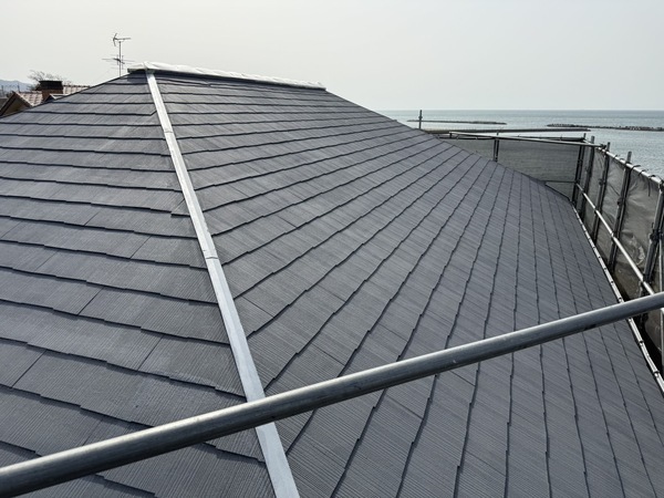 S__63397901_0_コピー