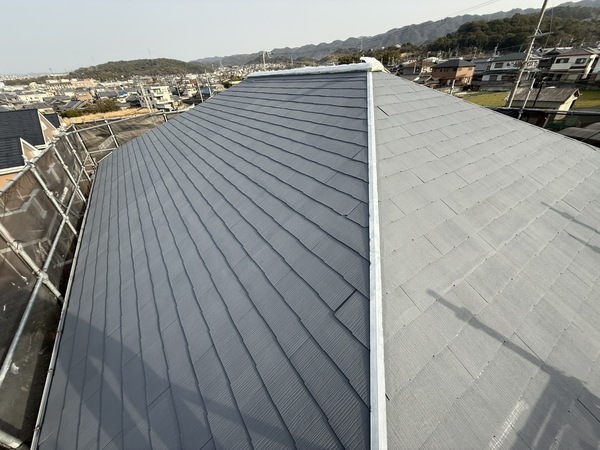 S__63397903_0_コピー