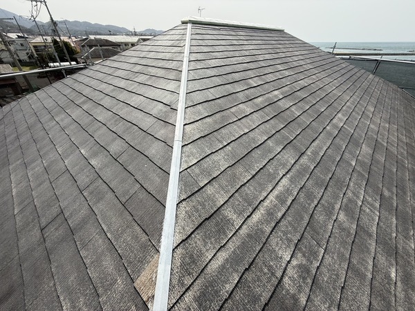 S__63397900_0_コピー