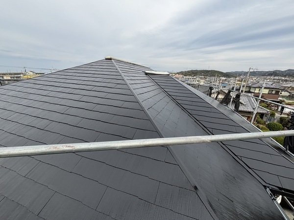 S__114909198_0_コピー