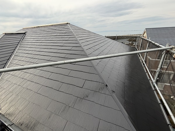 S__114909196_0_コピー