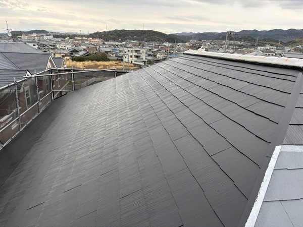 S__114901003_0_コピー