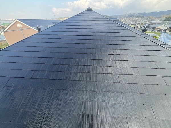 S__83992584_0_コピー