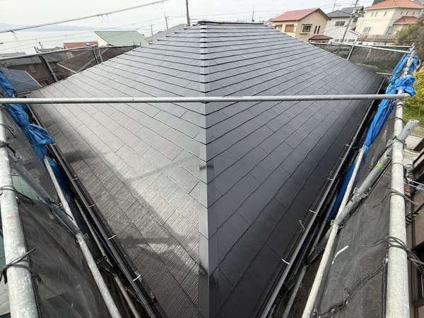 S__64028678_0_コピー