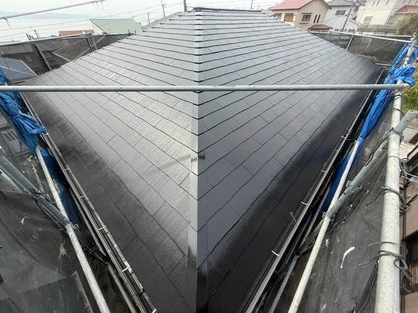 S__64028686_0_コピー