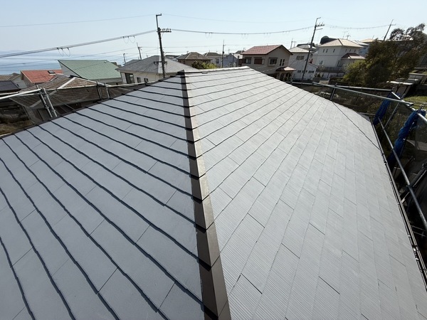 S__63979549_0_コピー