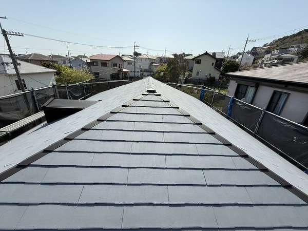 S__63979548_0_コピー