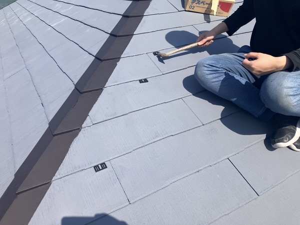 S__5095459_0_コピー