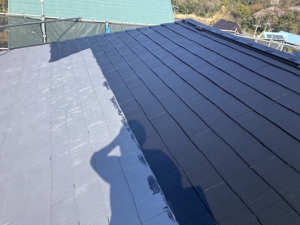 S__5095455_0_コピー