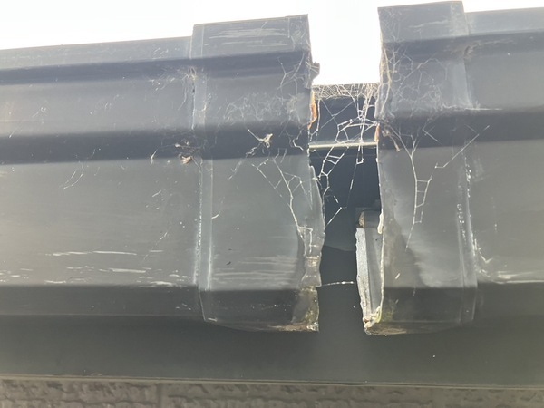 S__5021798_0_コピー