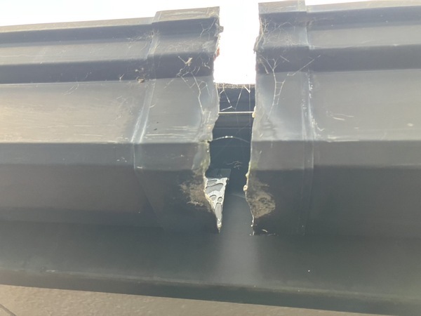 S__5021796_0_コピー