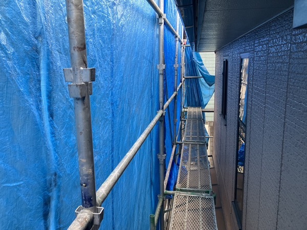 S__5021788_0_コピー