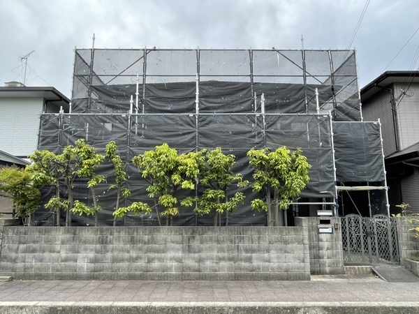 LINE_P202552_103540_new_コピー