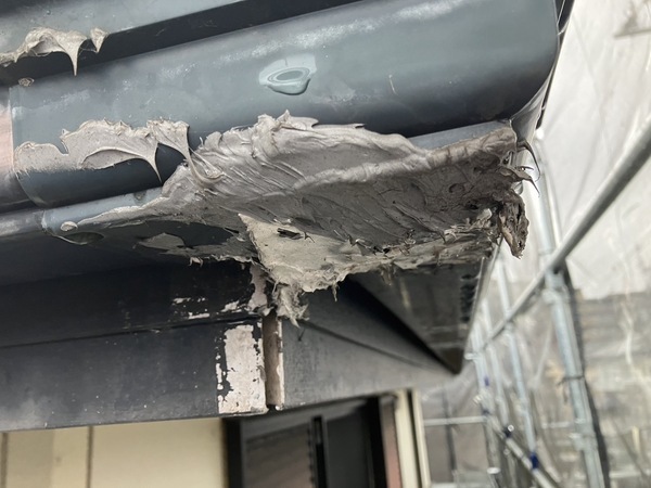 S__5398557_0_コピー