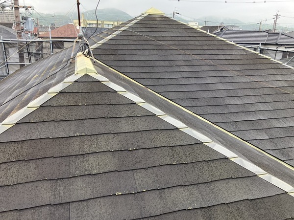 S__5398559_0_コピー