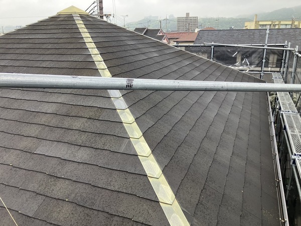 S__5398561_0_コピー