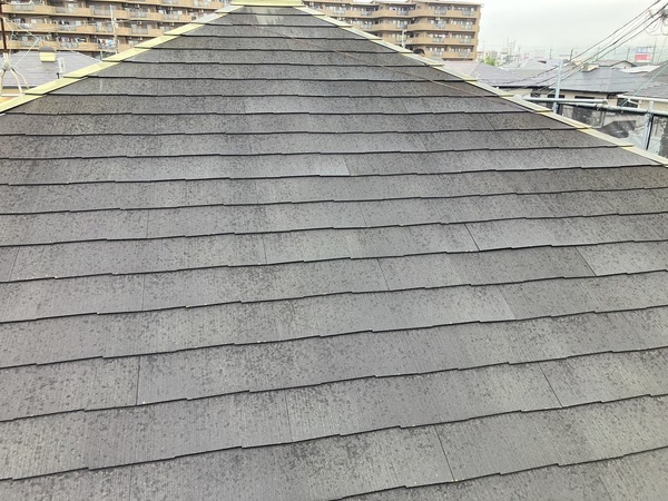 S__5398563_0_コピー