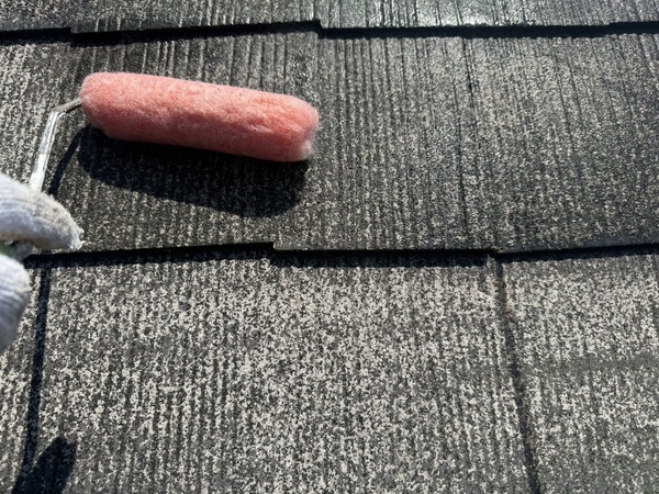 S__65028133_0_コピー