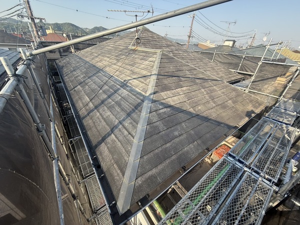 S__65028118_0_コピー