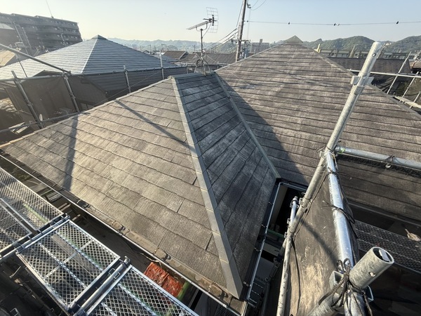 S__65028117_0_コピー