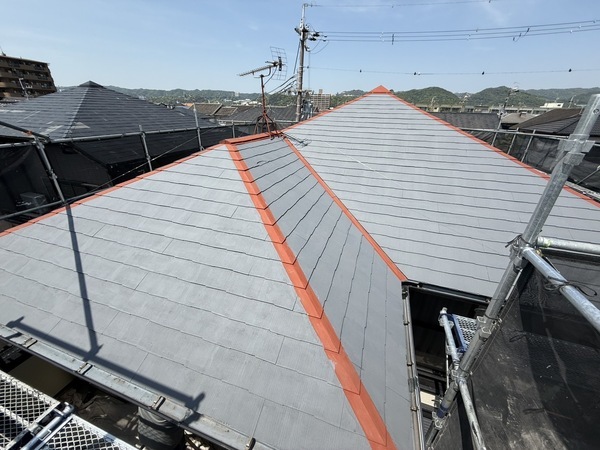 S__65224719_0_コピー