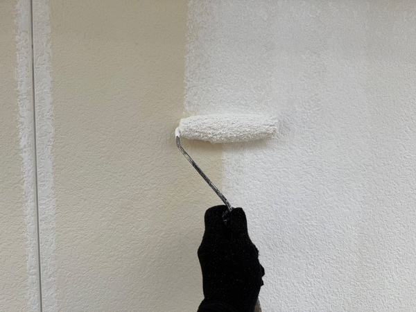 S__64995352_0_コピー