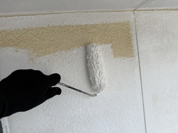 S__64995354_0_コピー