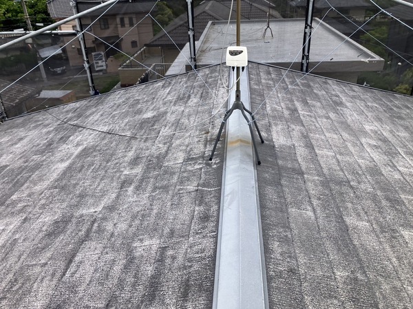 S__5808169_0_コピー