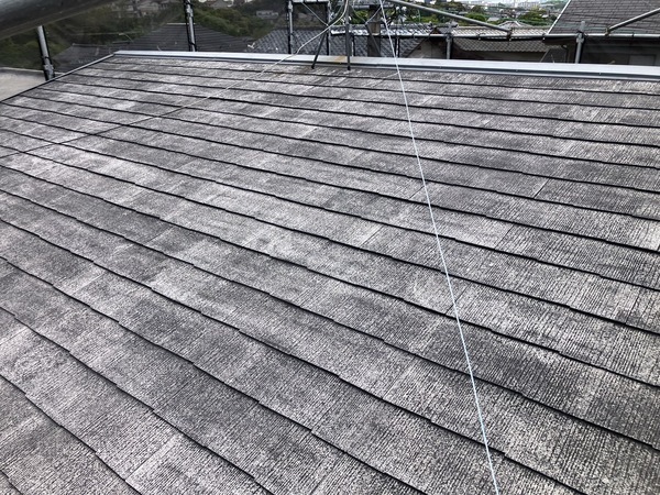 S__5808168_0_コピー