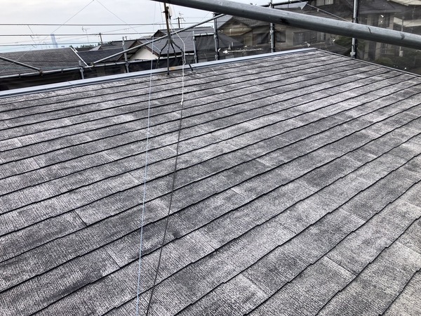 S__5808167_0_コピー