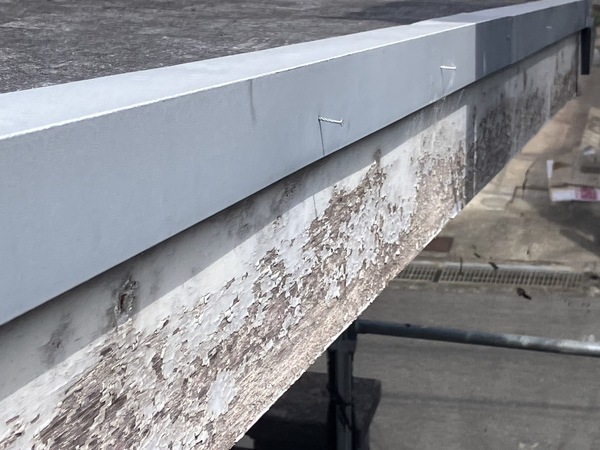 S__5808146_0_コピー