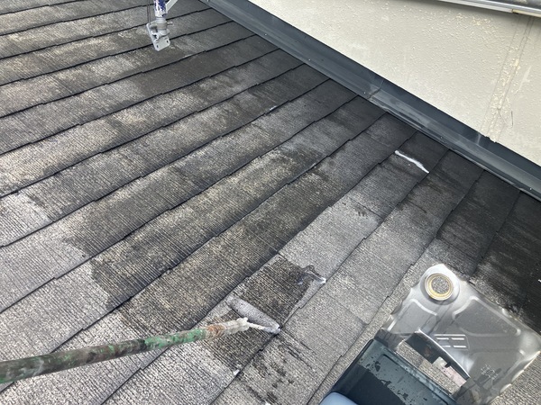 33FEE1A9-5C41-43E2-92F0-F479AE41F246_コピー