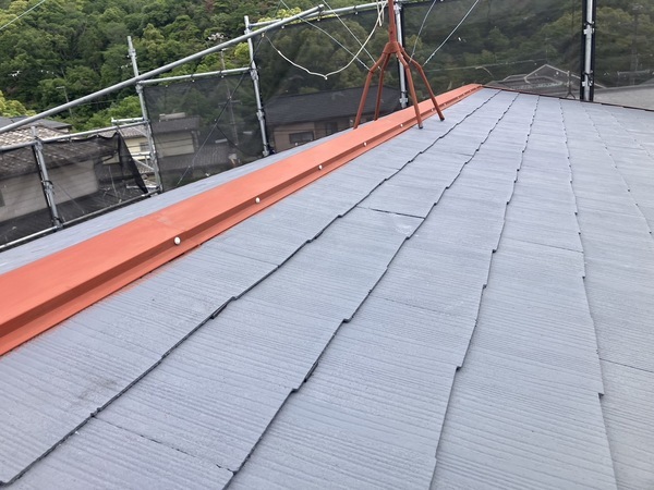 S__5873689_0_コピー