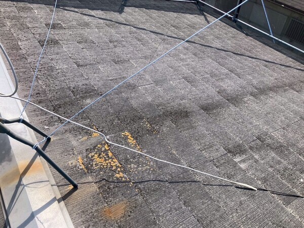 LINE_ALBUM_20250523_250525_12_コピー