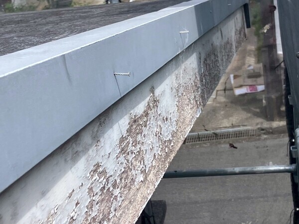 LINE_ALBUM_20250523_250525_15_コピー