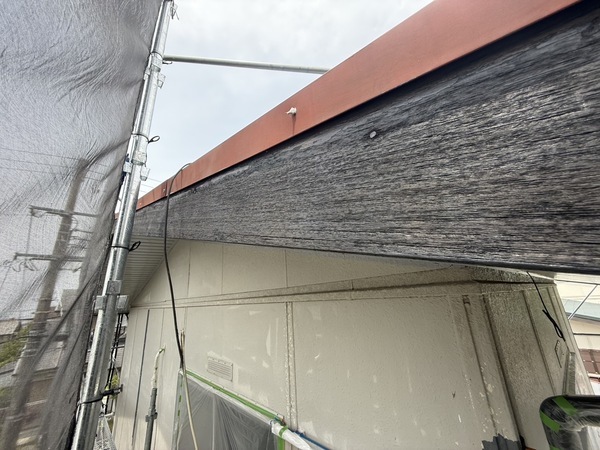 S__66314274_0_コピー