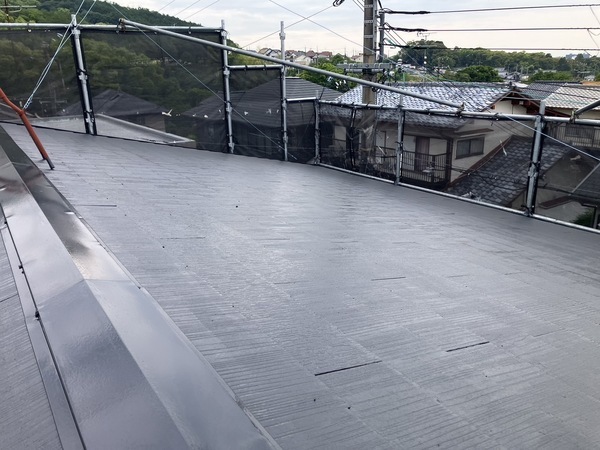 S__5955629_0_コピー