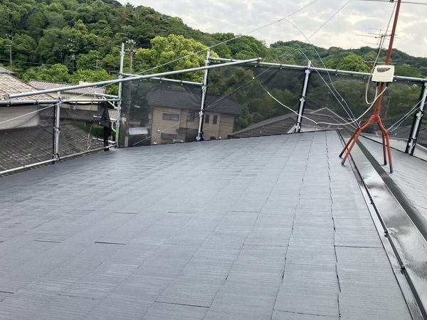 S__5955628_0_コピー