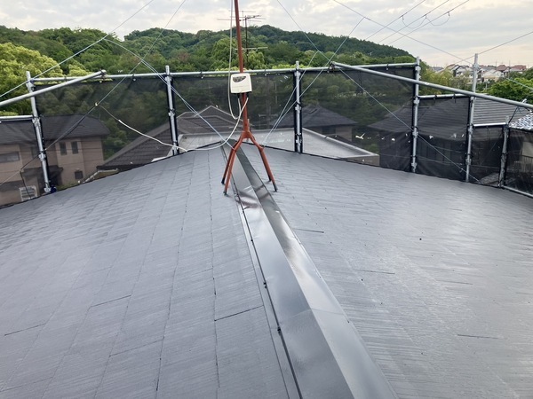 S__5955627_0_コピー