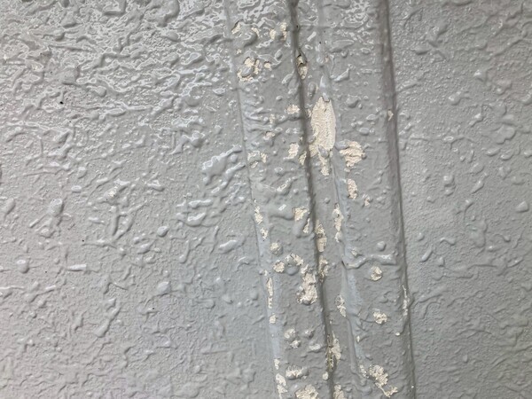 LINE_ALBUM_20250523_250525_29_コピー