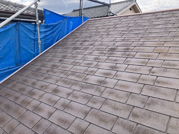 S__6086686_0_コピー