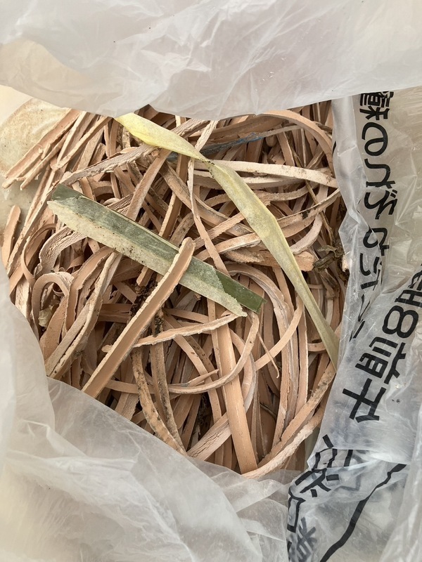 S__6086771_0_コピー