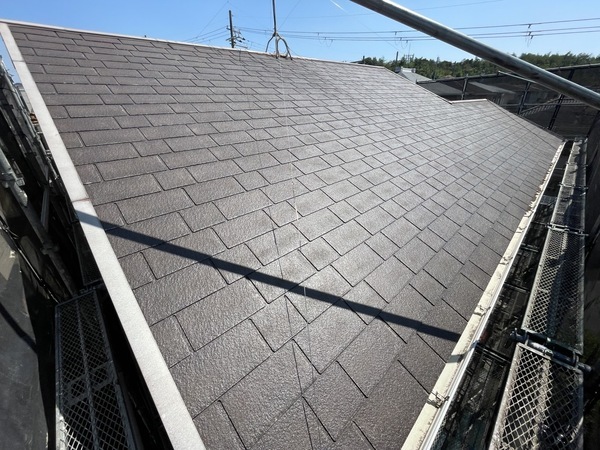 S__33579033_0_コピー