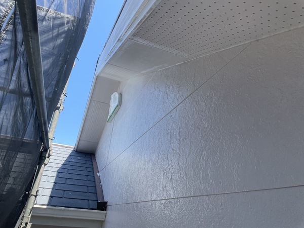 S__33652741_0_コピー